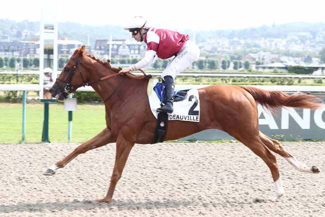 Photo d'arrivée de la course pmu PRIX DU CARREFOUR DE L'ARMISTICE à DEAUVILLE le Vendredi 26 juin 2026