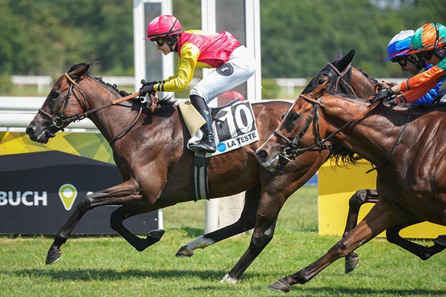 Photo d'arrivée de la course pmu PRIX EDOUARD LECLERC LA TESTE-DE-BUCH à LA TESTE DE BUCH le Vendredi 26 juin 2026