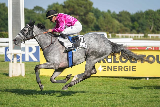 Photo d'arrivée de la course pmu PRIX DOMAINE DE LA FORGE BY SUNELIA à LA TESTE DE BUCH le Vendredi 26 juin 2026