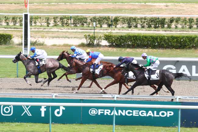 Photo d'arrivée de la course pmu PRIX DU BOIS DES BOULEAUX - C.P.N à DEAUVILLE le Samedi 27 juin 2026
