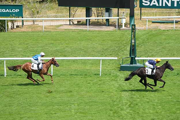 Photo d'arrivée de la course pmu PRIX AMBER RAMA à SAINT CLOUD le Dimanche 28 juin 2026