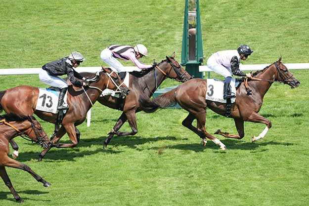 Arrivée quinté pmu HANDICAP D'ETE à SAINT CLOUD