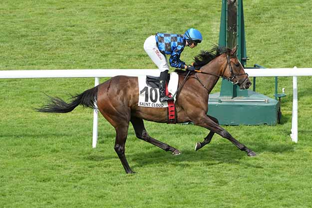 Photo d'arrivée de la course pmu PRIX DU TRASQUET à SAINT CLOUD le Dimanche 28 juin 2026