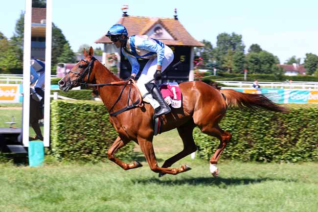 Photo d'arrivée de la course pmu UNE VIE A 60 KM-H (PRIX PORT-SAID) à CLAIREFONTAINE le Lundi 29 juin 2026
