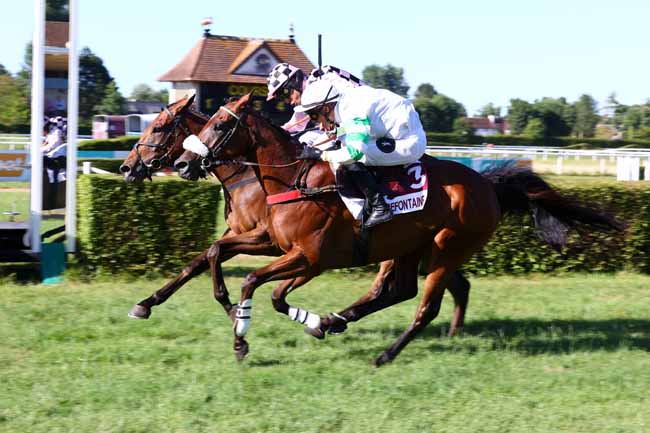 Arrivée quinté pmu LOGO BACKBOARD BY NICOLES BAILLEUL (PRIX DE LA VILLE DE TOURGEVILLE) à CLAIREFONTAINE