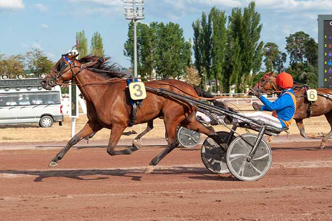 Arrivée quinté pmu GRAND PRIX DU CONSEIL MUNICIPAL à VICHY