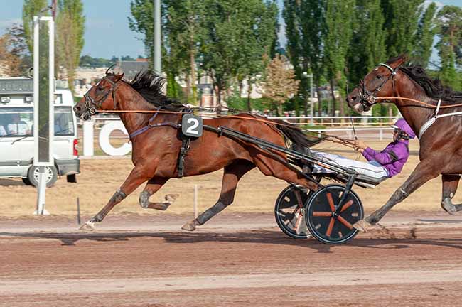 Photo d'arrivée de la course pmu PRIX ROYAL HORSE (PRIX D'ULYSSE) à VICHY le Mardi 30 juin 2026
