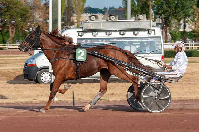 Photo d'arrivée de la course pmu PRIX JEROME SALAMANI à VICHY le Mardi 30 juin 2026