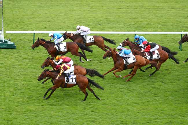 Photo d'arrivée de la course pmu PRIX DE LA MAISON BLANCHE à LONGCHAMP le Jeudi 2 juillet 2026