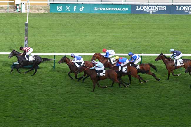 Photo d'arrivée de la course pmu PRIX DU JARDIN DE L'AVRE à LONGCHAMP le Jeudi 2 juillet 2026