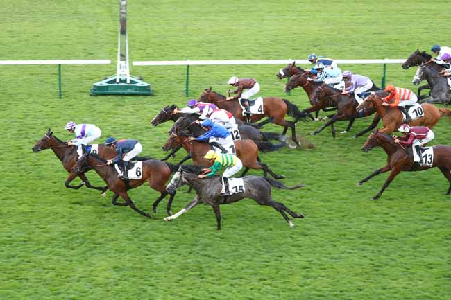 Arrivée quinté pmu PRIX DE LA GARDEN PARTY à LONGCHAMP