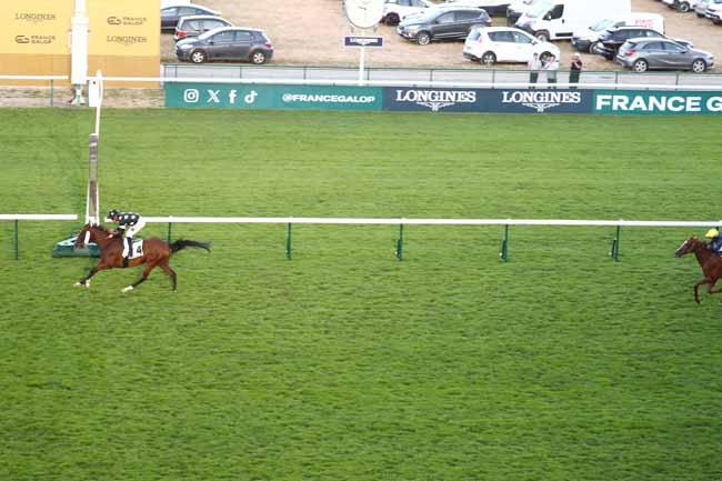Photo d'arrivée de la course pmu PRIX HOCQUELUS à LONGCHAMP le Jeudi 2 juillet 2026