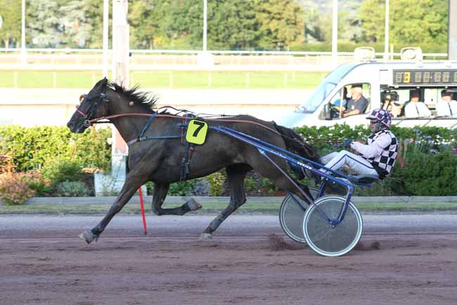 Arrivée quinté pmu PRIX PAUL VIEL à CABOURG