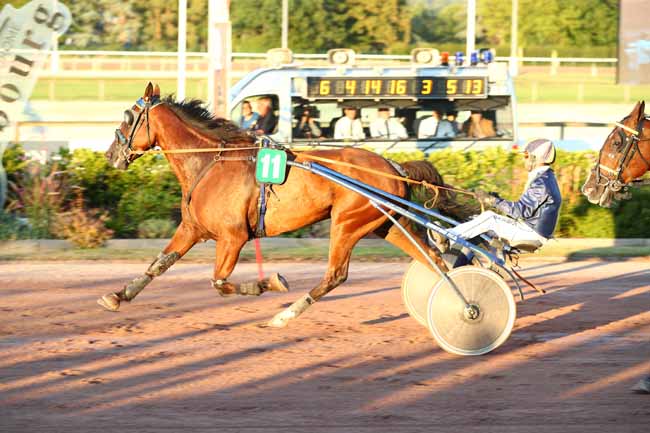 Photo d'arrivée de la course pmu PRIX DE PORTBAIL à CABOURG le Vendredi 3 juillet 2026