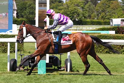 Photo d'arrivée de la course pmu PRIX PETIT FUTE (PRIX DU CHEMIN DU MARAIS) à CLAIREFONTAINE le Vendredi 3 juillet 2026
