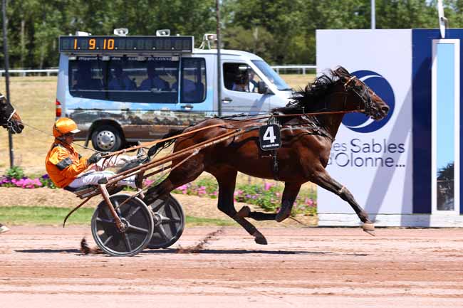 Photo d'arrivée de la course pmu PRIX DES SOCIETES DES COURSES DE VENDEE à LES SABLES D'OLONNE le Lundi 6 juillet 2026
