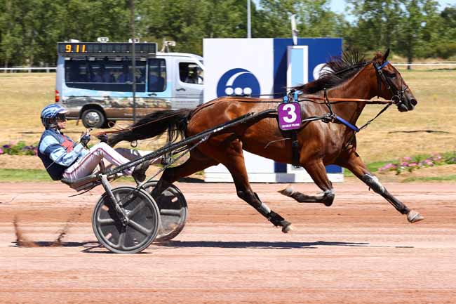 Photo d'arrivée de la course pmu PRIX STAND ANIMATION PMU à LES SABLES D'OLONNE le Lundi 6 juillet 2026