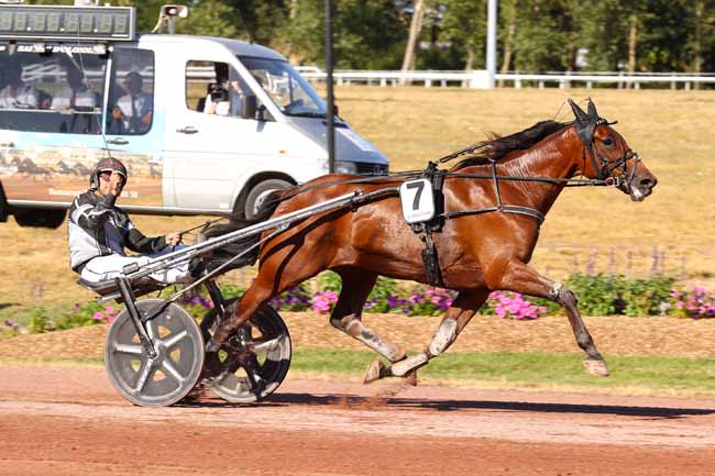 Arrivée quinté pmu PRIX DES SABLES-D'OLONNE AGGLOMERATION à LES SABLES D'OLONNE