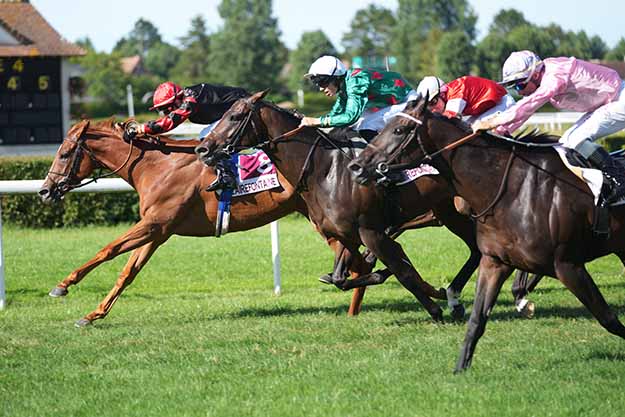 Photo d'arrivée de la course pmu PRIX BAMBOO EDITION (PRIX DU HAMEL) à CLAIREFONTAINE le Lundi 6 juillet 2026