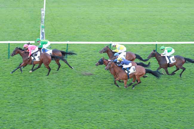 Photo d'arrivée de la course pmu PRIX DU VILLAGE à LONGCHAMP le Jeudi 9 juillet 2026