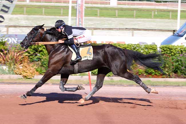 Photo d'arrivée de la course pmu PRIX LES CRINS DE LA BAIE (PRIX DES MUSCARIS) à CABOURG le Vendredi 10 juillet 2026