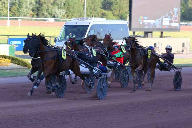 Arrivée quinté pmu PRIX DES HELLEBORES à CABOURG