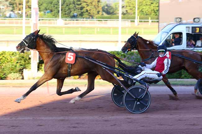 Photo d'arrivée de la course pmu PRIX SWEET FM (PRIX DES PIVOINES) à CABOURG le Vendredi 10 juillet 2026