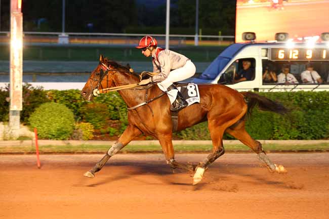 Photo d'arrivée de la course pmu PRIX ASTRAGALES à CABOURG le Vendredi 10 juillet 2026