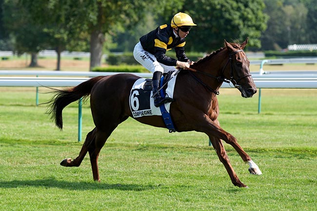 Photo d'arrivée de la course pmu PRIX DE L'AVESNOIS à COMPIEGNE le Vendredi 10 juillet 2026
