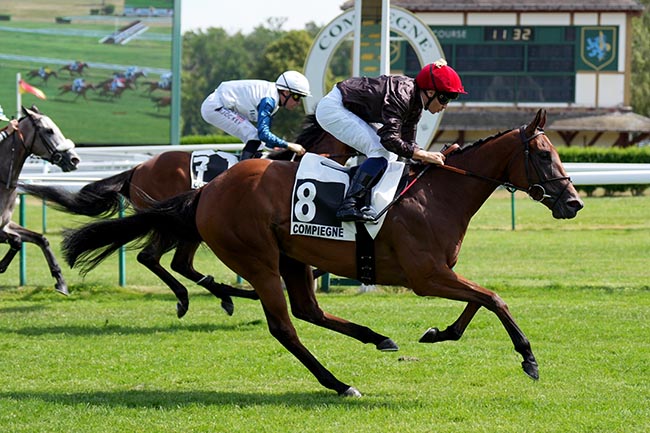 Photo d'arrivée de la course pmu PRIX DU MONT SAINT-PIERRE à COMPIEGNE le Vendredi 10 juillet 2026