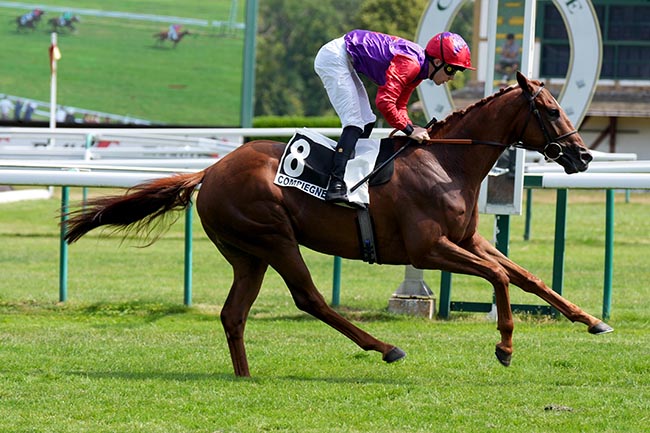 Photo d'arrivée de la course pmu PRIX DE CLAIROIX (CHAMPIONNAT 