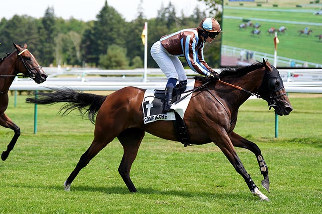 Photo d'arrivée de la course pmu PRIX D'AUTRECHES à COMPIEGNE le Vendredi 10 juillet 2026