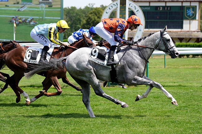 Photo d'arrivée de la course pmu PRIX DE LA FORET DE LAIGUE à COMPIEGNE le Vendredi 10 juillet 2026