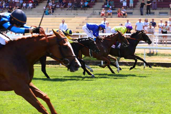 Photo d'arrivée de la course pmu PRIX VALNEO REHABILITATION & THALASSOTHERAPIE EQUINE (PRIX PERRAULT) à CLAIREFONTAINE le Samedi 11 juillet 2026