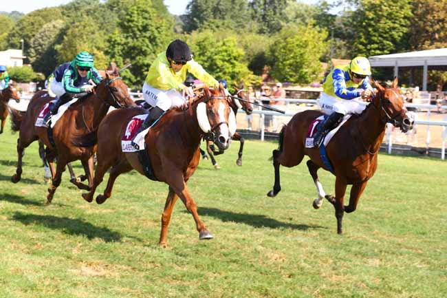 Photo d'arrivée de la course pmu PRIX DU RESPECT DU CHEVAL ATHLETE (PRIX DU CHEMIN DU TOCQ) à CLAIREFONTAINE le Samedi 11 juillet 2026
