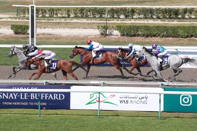 Photo d'arrivée de la course pmu HARAS DE FRESNAY-LE-BUFFARD PRIX DE L'ETANG-BERTRAND à DEAUVILLE le Dimanche 12 juillet 2026