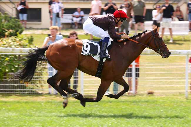 Photo d'arrivée de la course pmu PRIX DE LA VALETTE à DIEPPE le Lundi 13 juillet 2026