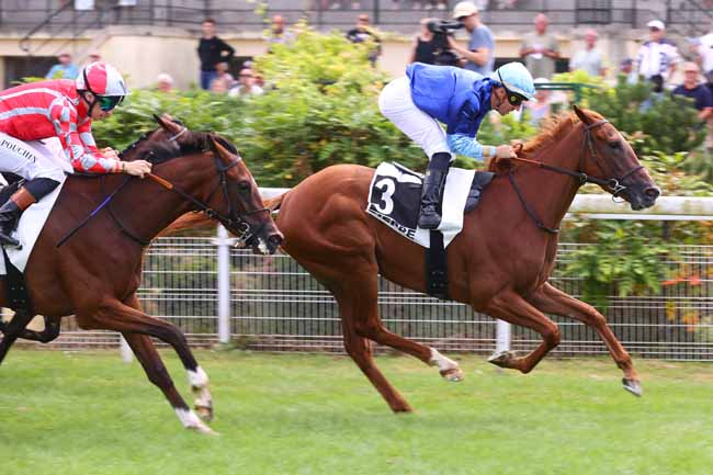 Photo d'arrivée de la course pmu PRIX FREEDONIA à DIEPPE le Lundi 13 juillet 2026