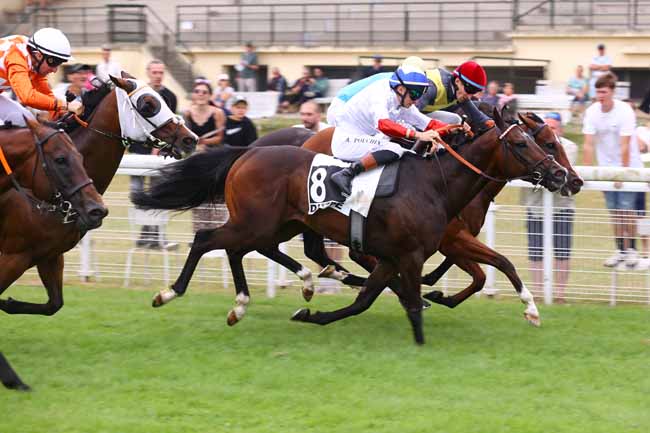 Arrivée quinté pmu PRIX REGION NORMANDIE (PRIX DIEPPE MARITIME) à DIEPPE