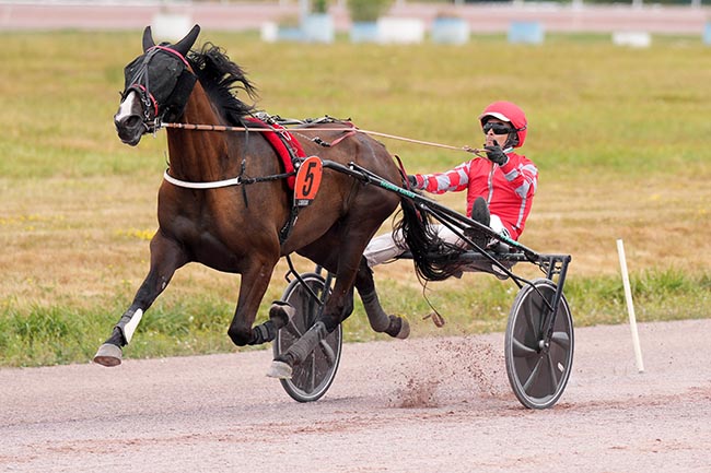 Photo d'arrivée de la course pmu PRIX EQUIP HORSE à LISIEUX le Mercredi 15 juillet 2026