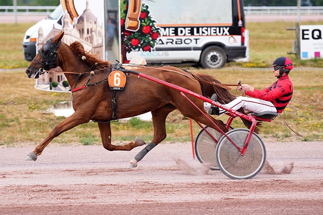 Photo d'arrivée de la course pmu PRIX DE CANAPVILLE à LISIEUX le Mercredi 15 juillet 2026