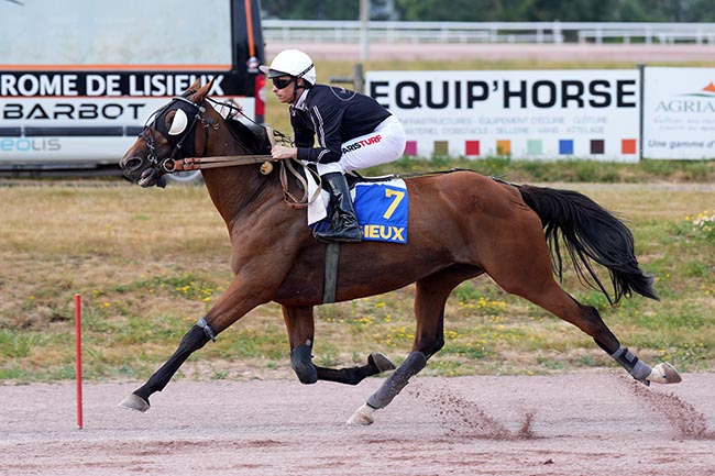 Photo d'arrivée de la course pmu PRIX DES VANS BARBOT à LISIEUX le Mercredi 15 juillet 2026