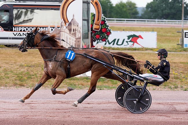 Arrivée quinté pmu PRIX DE COQUAINVILLIERS à LISIEUX