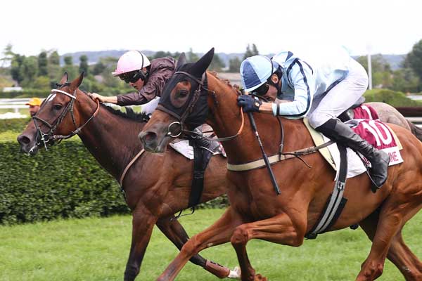 Photo d'arrivée de la course pmu PRIX CHEVAUCHE TES EMOTIONS BY PANINI (PRIX DES HELIOTROPES) à CLAIREFONTAINE le Mercredi 15 juillet 2026