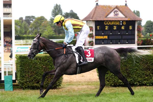 Photo d'arrivée de la course pmu PRIX POLE INTERNATIONAL DU CHEVAL (PRIX DES YPREAUX) à CLAIREFONTAINE le Mercredi 15 juillet 2026