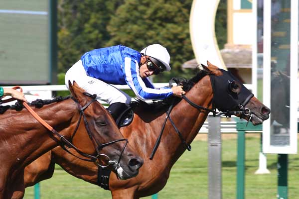 Photo d'arrivée de la course pmu PRIX DU BRAS D'OR à COMPIEGNE le Jeudi 16 juillet 2026