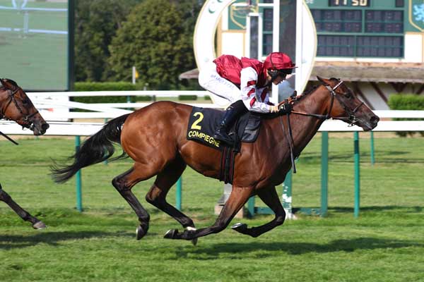 Photo d'arrivée de la course pmu PRIX DU PUITS DU ROI à COMPIEGNE le Jeudi 16 juillet 2026