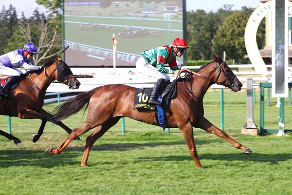 Photo d'arrivée de la course pmu PRIX DE LA FORET DE RETZ à COMPIEGNE le Jeudi 16 juillet 2026