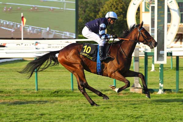 Photo d'arrivée de la course pmu PRIX DU PUITS D'ORLEANS à COMPIEGNE le Jeudi 16 juillet 2026