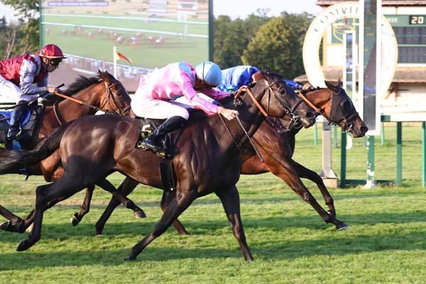 Arrivée quinté pmu PRIX DU CHATEAU DE PIERREFONDS à COMPIEGNE